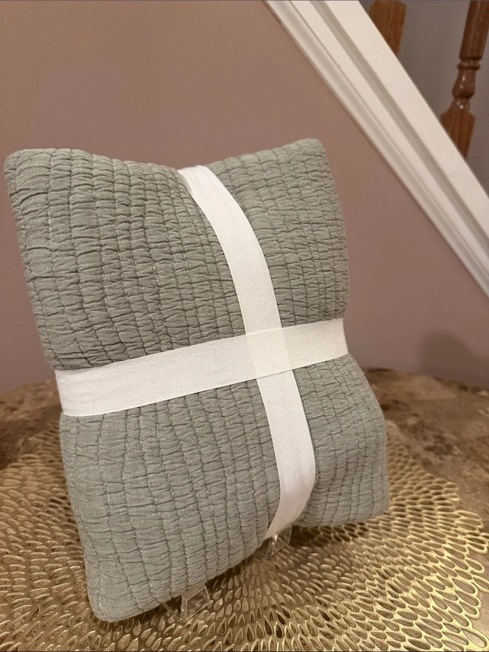 Pottery Barn Coastal Washed Euro Sham - Eucalyptus